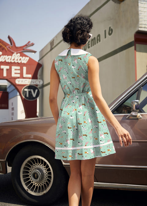 Vestito con collare per cani-2